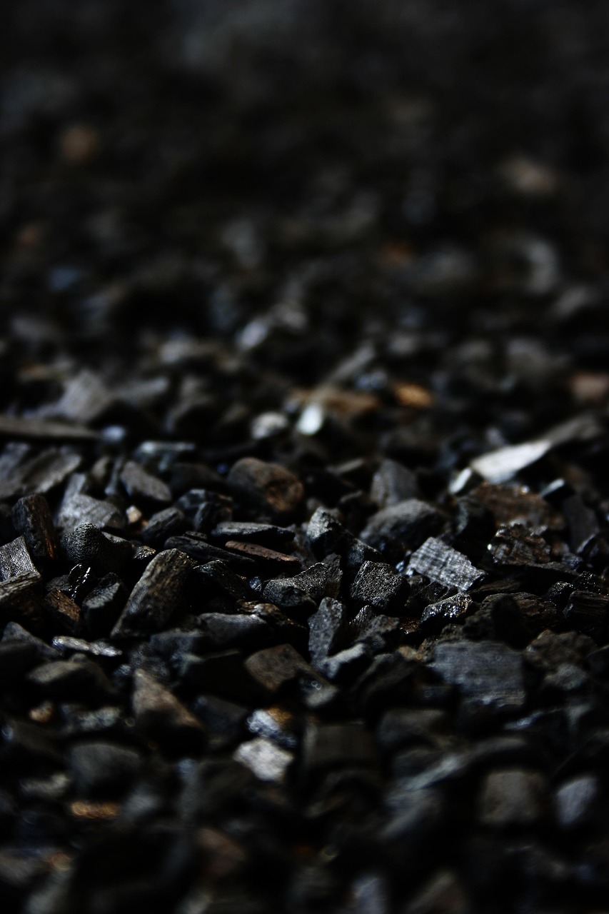 money, black, charcoal, grill briquettes, briquettes, grilling, filter carbon, charcoal, charcoal, charcoal, charcoal, charcoal